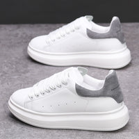White And Gray